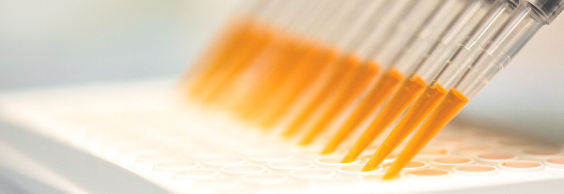 科学与产品管线