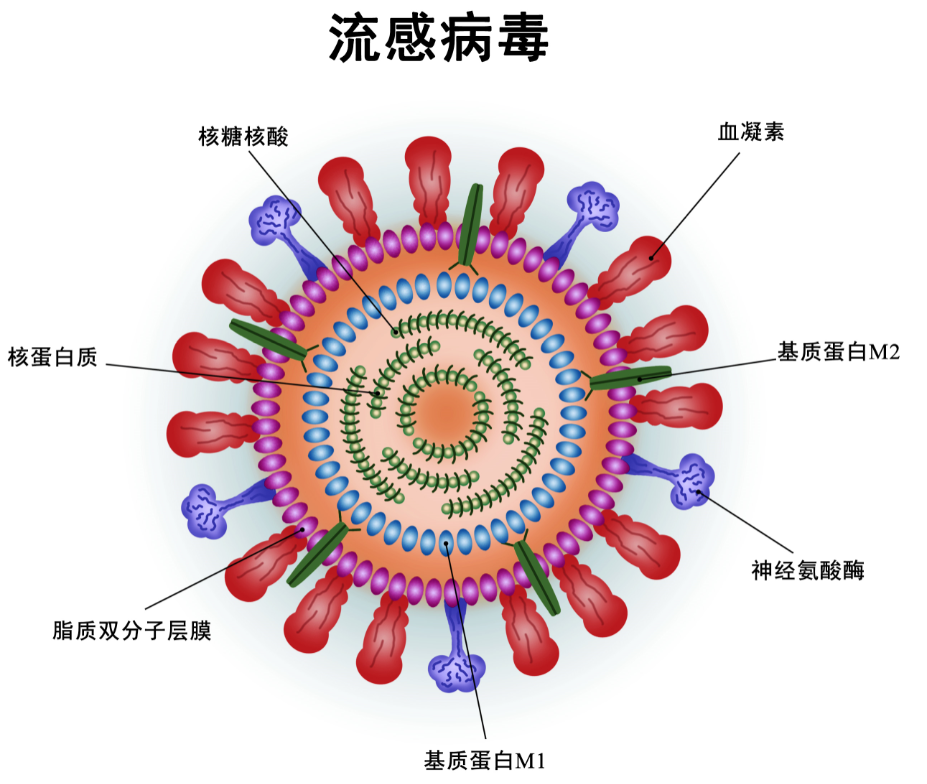 流行性感冒